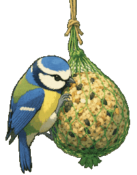 Bird Vogel Sticker by mahoniemoni