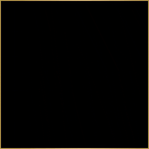 FloreverPeru giphygifmaker gold frame golden GIF