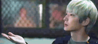 First Snow GIF
