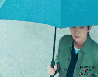Raining Flower Of Evil GIF