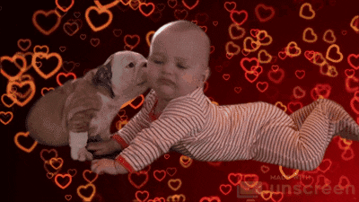 Valentines Day Love GIF by Unscreen