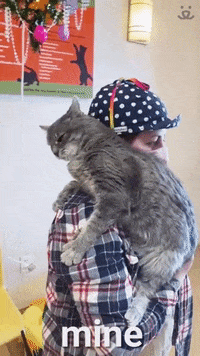 Best Friends Adopt Dont Shop GIF by Best Friends Animal Society