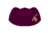 qatarairways travel airline qatar airways qatarairways Sticker