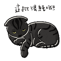 Cat Sticker