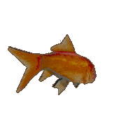3D Goldfish Sticker