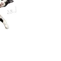 Flying Cats Hero Cat Sticker