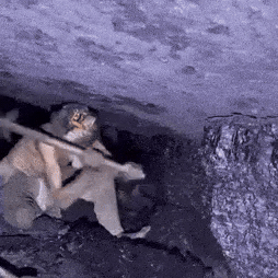 Man Axe GIF