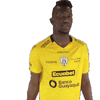 Del Valle Soccer Sticker by INDEPENDIENTE DEL VALLE