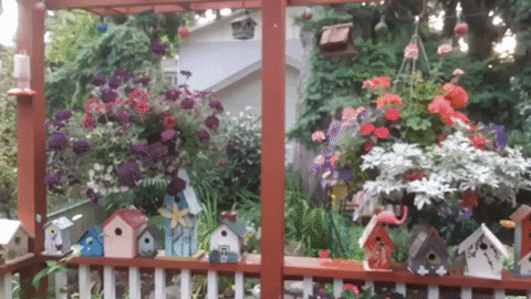 DonTaylor10000 giphyupload GIF