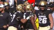 Excited Football GIF by Pac-12 Network