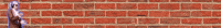 Wall Talking GIF