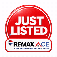 Realtor GIF by ReMaxAce Realty, Inc Brokerage
