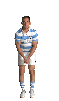 Golfing Benjamin Urdapilleta Sticker by Rugby World Cup