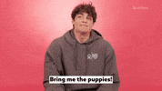 Noah Centineo Puppy GIF by BuzzFeed