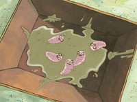 season 6 pet or pets GIF by SpongeBob SquarePants