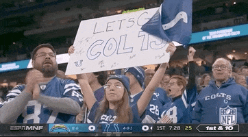 Indianapolis Colts Football GIF by NFL