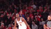 St Johns Sjubb GIF by St. John's Red Storm