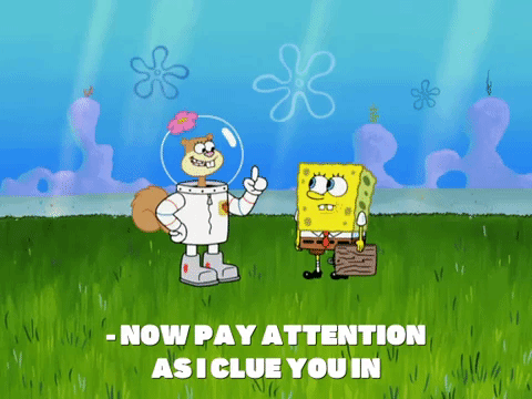season 8 episode 13 GIF by SpongeBob SquarePants
