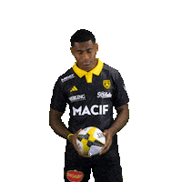 Rugby Larochelle Sticker by Stade Rochelais