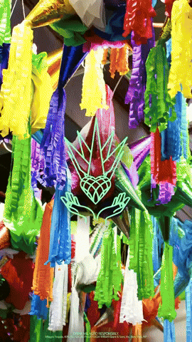 Mexico City Fun GIF by Milagro Tequila