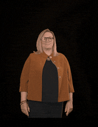 fdpfraktionlsa fdplsa tarricone ktarricone fdpfraktionlsa GIF