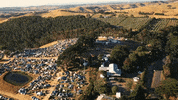 nyeonthehill festival new years eve music festival the hills are alive GIF