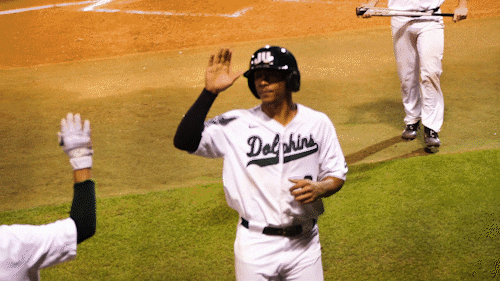 GIF by Jacksonville University
