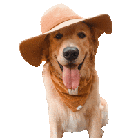 Golden Retriever Sticker