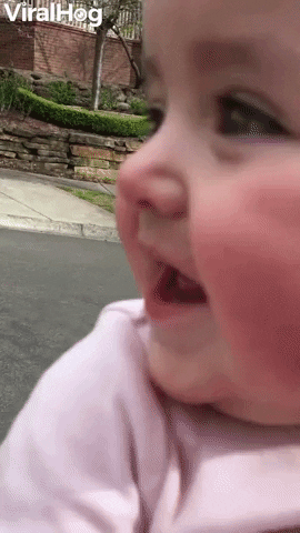 Baby Sees Dogs For First Time GIF by ViralHog