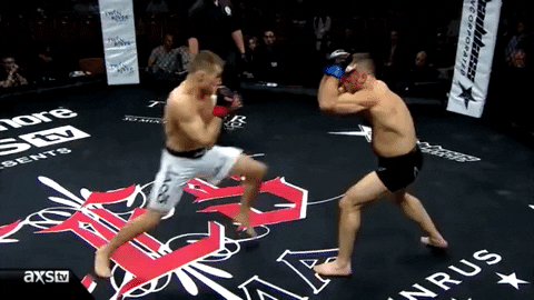 knock out mma GIF