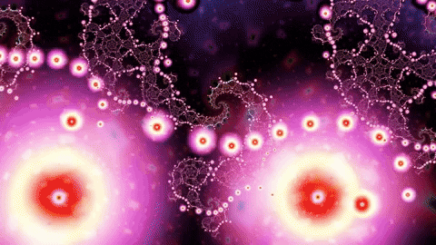 Visuals GIF by bbqshoes