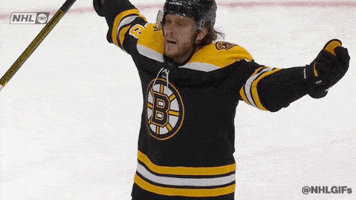 Ice Hockey Sport GIF by NHL