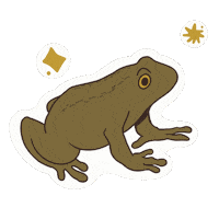 snyderdraws fall aesthetic spring autumn Sticker