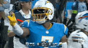 National Football League GIF by NFL
