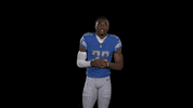Football No GIF by Detroit Lions
