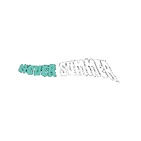 NeverSummerIndustries snowboard snowboarding shred ns Sticker