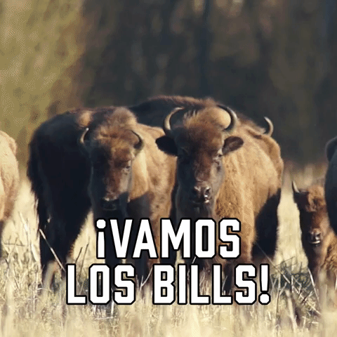Β‘Vamos Los Bills!
