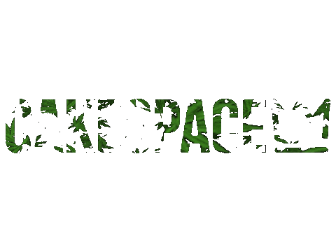 Cakespace giphyupload logo feuille cakespace Sticker