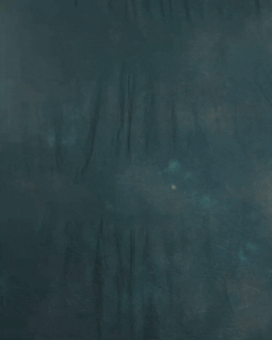 Major League Soccer Sport GIF by Timbers