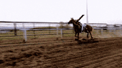 jonny harris canada GIF by CBC