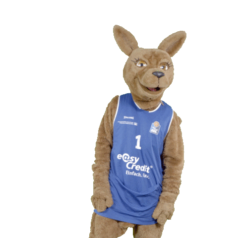 social-media-easycredit giphyupload basketball ruhig easycredit Sticker