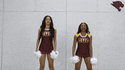 Dance GIF by CUCougars