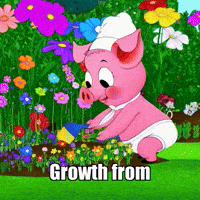 Wisdom Chaos GIF by The Pigasso