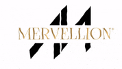 mervellion mervellion GIF