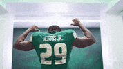 College Football GIF by USF Athletics