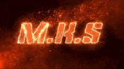 Mks Mkstalin GIF by DMK IT WING