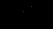 GIF by Uro Recc