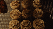 Spring Fever Sugar GIF by Hallmark Channel