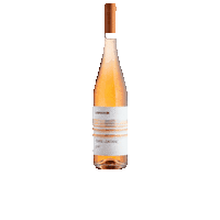 Glass Of Wine Sticker by librandiwine