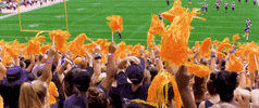 Happy College Football GIF by Pitt Panthers